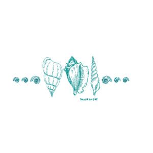 3 shells plus - AS Colour Womens Oversized Dress Design