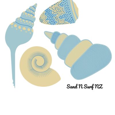 Four shells Thumbnail