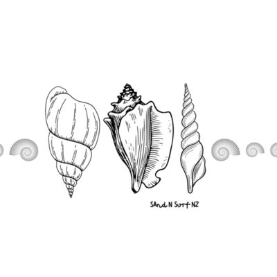 3 Shells plus Thumbnail